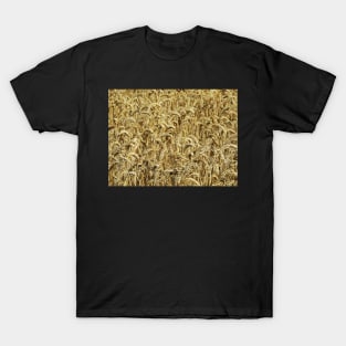 Wheatfield T-Shirt